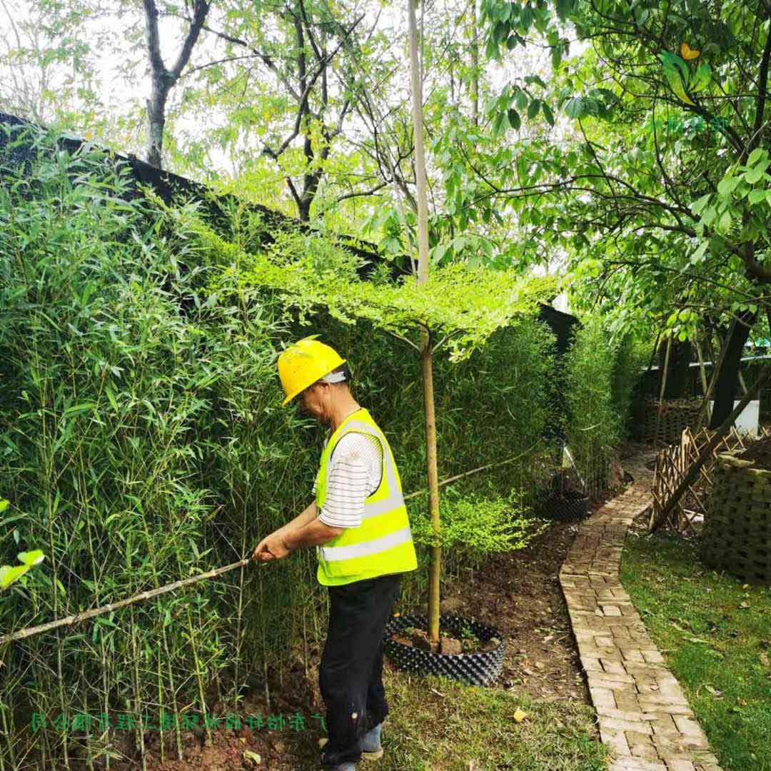 番禺露营基地欢迎访问十大电子网址施工现场